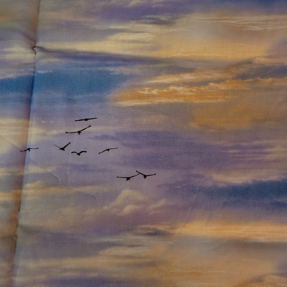 Sky Print Fabric with Birds  18" X 43"